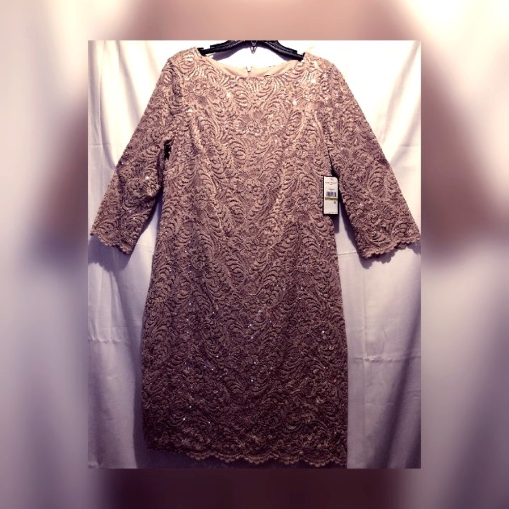 Jessica Howard Sequin & Lace Sheath Dress